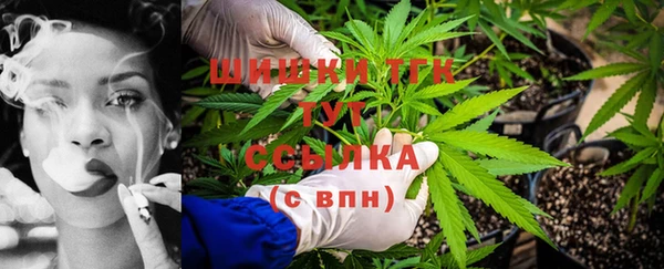 МДПВ Абаза