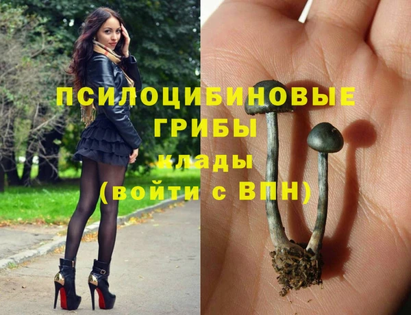 МДПВ Абаза