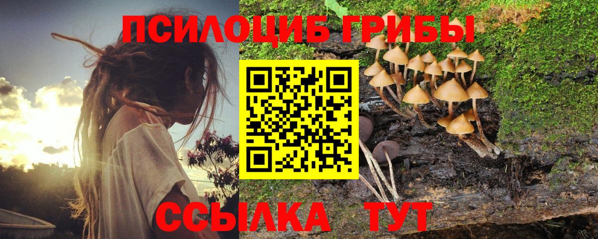 Псилоцибиновые грибы мухоморы  Галлюциногенные грибы прущие грибы  Вход с VPN  Богородицк 